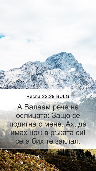 Числа 22:29 BULG Mobile Phone Wallpaper - А Валаам рече на ослицата: - Mobile Bible Verse Wallpaper