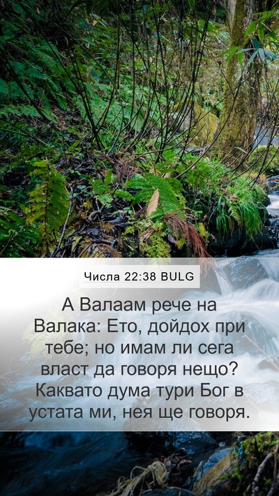 Числа 22:38 BULG Bible Verse Image