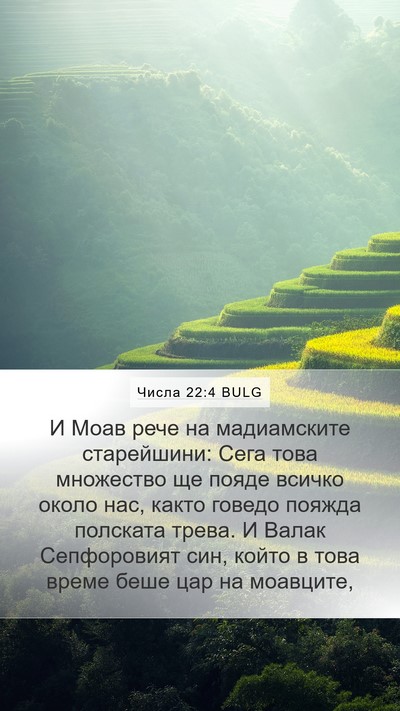 Числа 22:4 BULG Mobile Phone Wallpaper - И Моав рече на мадиамските - Mobile Bible Verse Wallpaper