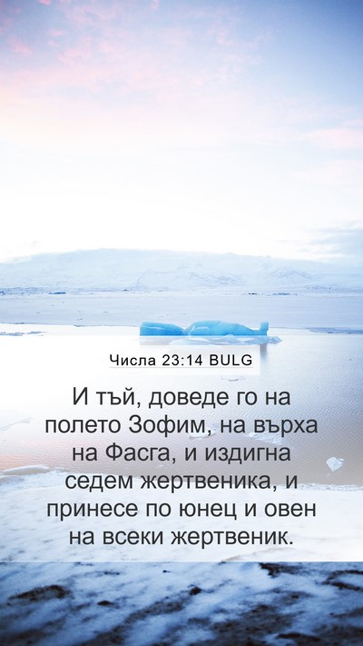Числа 23:14 BULG Bible Verse Image
