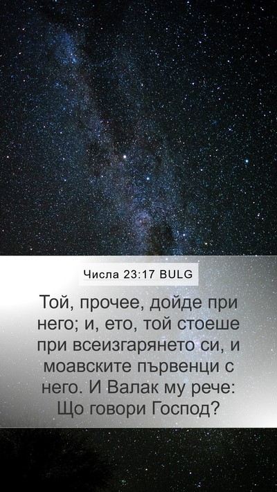Числа 23:17 BULG Mobile Phone Wallpaper - Той, прочее, дойде при него; - Mobile Bible Verse Wallpaper