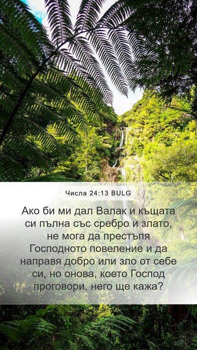 Числа 24:13 BULG Mobile Phone Wallpaper - Ако би ми дал Валак и - Mobile Bible Verse Wallpaper