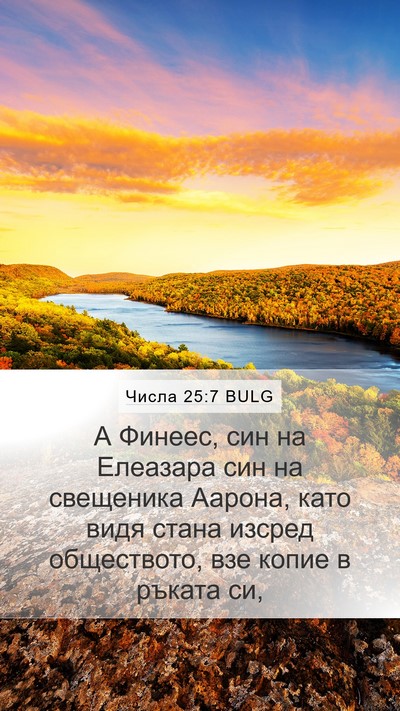 Числа 25:7 BULG Bible Verse Image