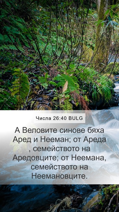 Числа 26:40 BULG Bible Verse Image