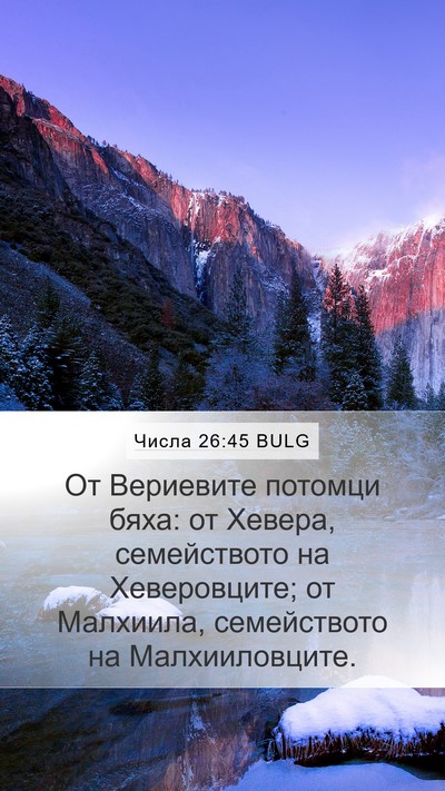 Числа 26:45 BULG Mobile Phone Wallpaper - От Вериевите потомци бяха: - Mobile Bible Verse Wallpaper