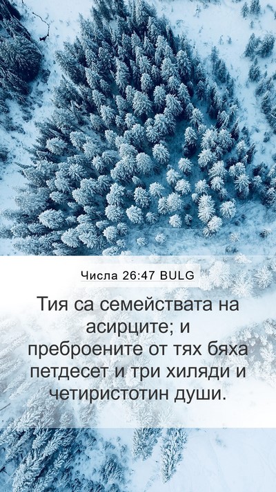 Числа 26:47 BULG Bible Verse Image
