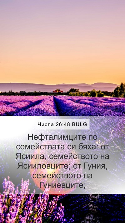 Числа 26:48 BULG Bible Verse Image