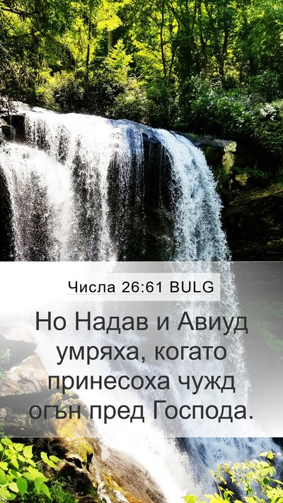 Числа 26:61 BULG Bible Verse Image