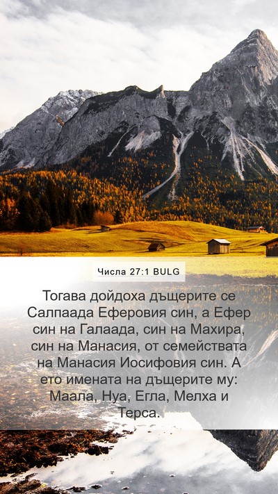 Числа 27:1 BULG Bible Verse Image