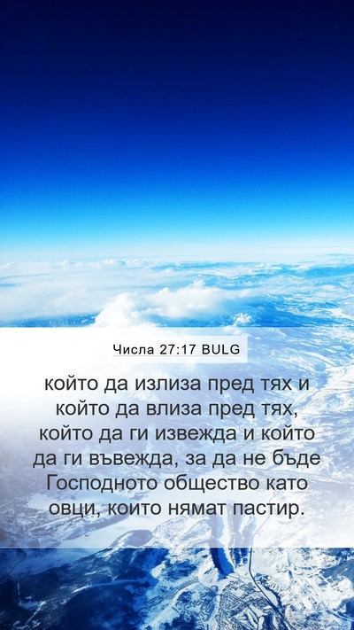 Числа 27:17 BULG Bible Verse Image