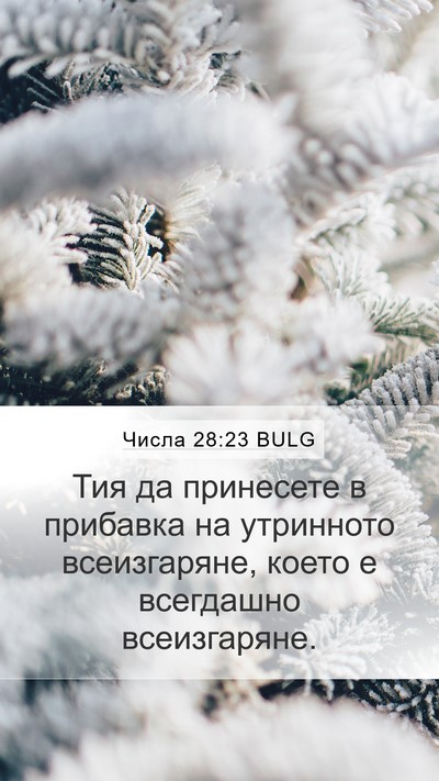 Числа 28:23 BULG Bible Verse Image