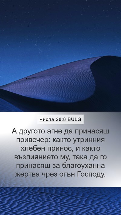 Числа 28:8 BULG Mobile Phone Wallpaper - А другото агне да принасяш - Mobile Bible Verse Wallpaper
