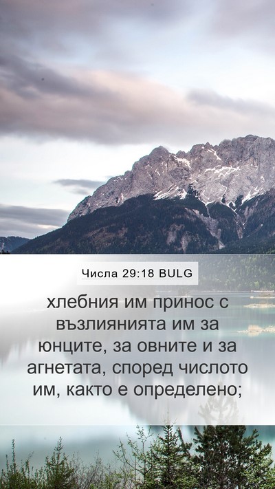 Числа 29:18 BULG Bible Verse Image