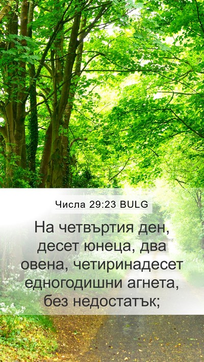 Числа 29:23 BULG Mobile Phone Wallpaper - На четвъртия ден, десет - Mobile Bible Verse Wallpaper