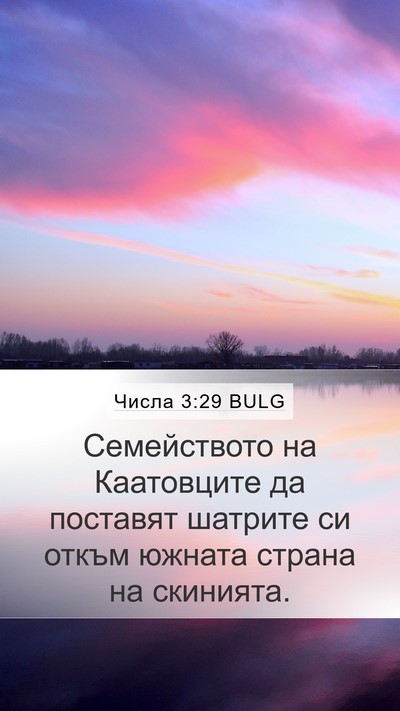 Числа 3:29 BULG Bible Verse Image