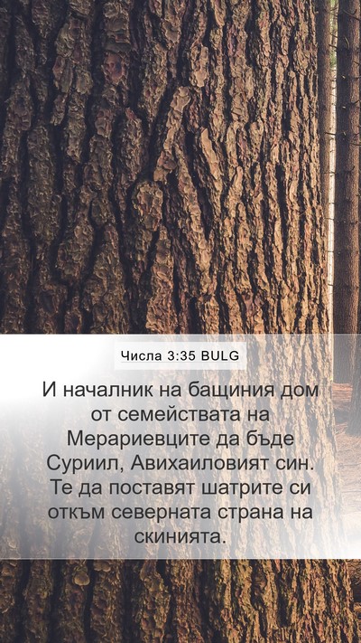 Числа 3:35 BULG Bible Verse Image