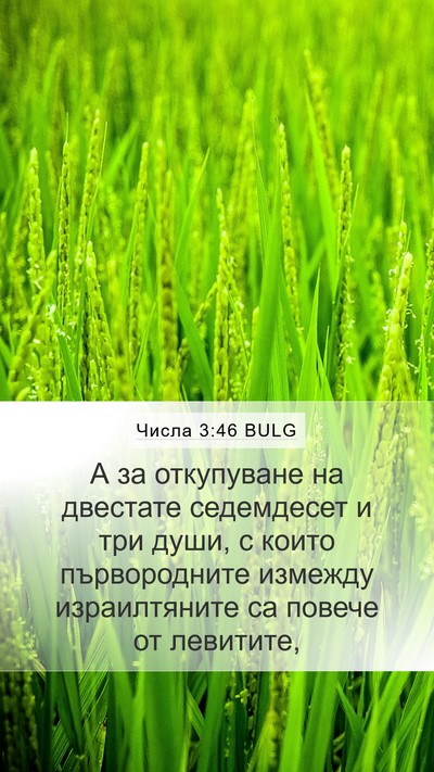 Числа 3:46 BULG Bible Verse Image