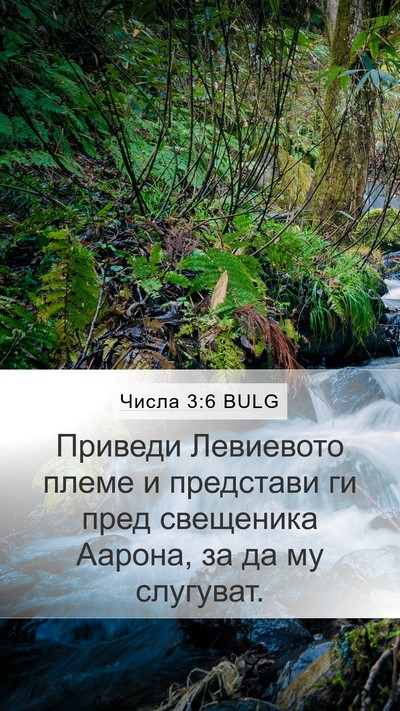 Числа 3:6 BULG Bible Verse Image