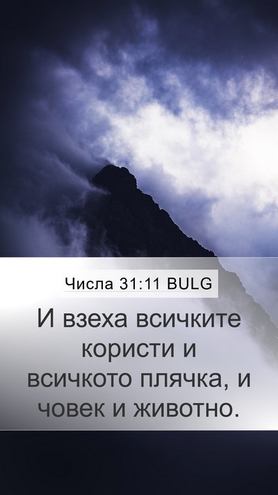 Числа 31:11 BULG Bible Verse Image