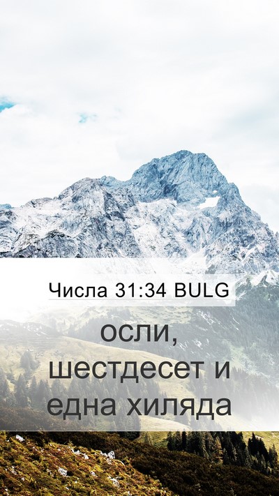 Числа 31:34 BULG Mobile Phone Wallpaper - осли, шестдесет и една - Mobile Bible Verse Wallpaper