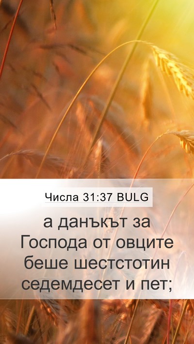 Числа 31:37 BULG Mobile Phone Wallpaper - а данъкът за Господа от - Mobile Bible Verse Wallpaper
