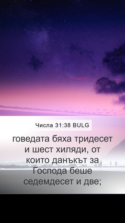 Числа 31:38 BULG Mobile Phone Wallpaper - говедата бяха тридесет и - Mobile Bible Verse Wallpaper