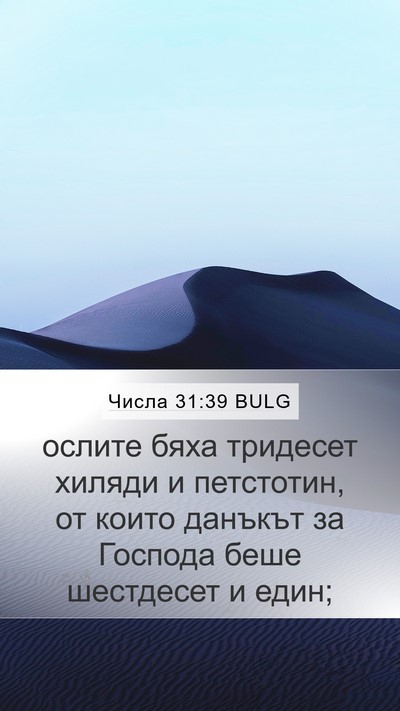 Числа 31:39 BULG Mobile Phone Wallpaper - ослите бяха тридесет - Mobile Bible Verse Wallpaper