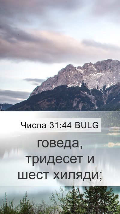 Числа 31:44 BULG Mobile Phone Wallpaper - говеда, тридесет и шест - Mobile Bible Verse Wallpaper