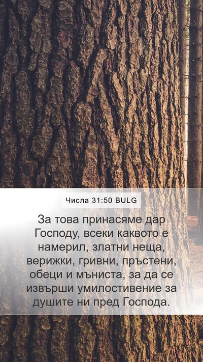 Числа 31:50 BULG Bible Verse Image
