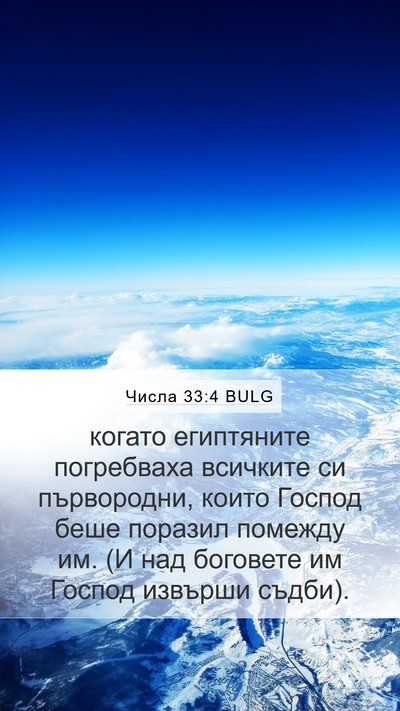 Числа 33:4 BULG Bible Verse Image