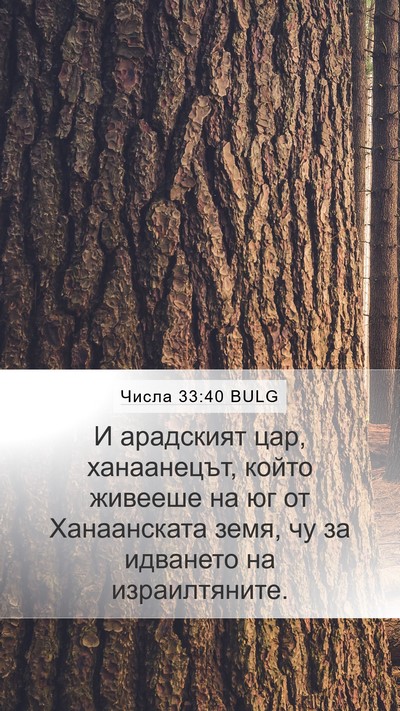 Числа 33:40 BULG Bible Verse Image