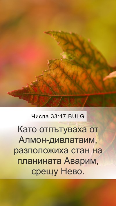 Числа 33:47 BULG Mobile Phone Wallpaper - Като отпътуваха от - Mobile Bible Verse Wallpaper