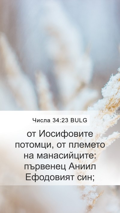Числа 34:23 BULG Mobile Phone Wallpaper - от Иосифовите потомци, от - Mobile Bible Verse Wallpaper