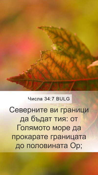 Числа 34:7 BULG Mobile Phone Wallpaper - Северните ви граници да - Mobile Bible Verse Wallpaper