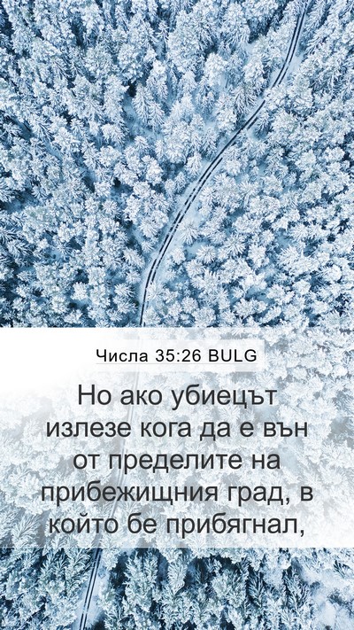 Числа 35:26 BULG Mobile Phone Wallpaper - Но ако убиецът излезе кога - Mobile Bible Verse Wallpaper