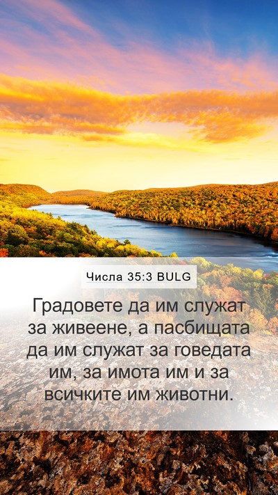 Числа 35:3 BULG Bible Verse Image