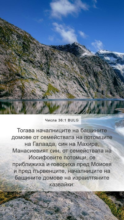 Числа 36:1 BULG Bible Verse Image
