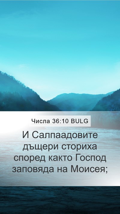 Числа 36:10 BULG Bible Verse Image