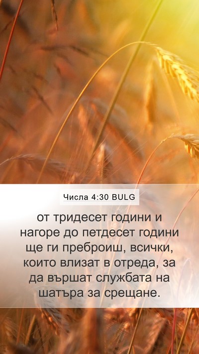 Числа 4:30 BULG Bible Verse Image