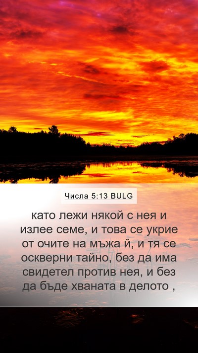Числа 5:13 BULG Mobile Phone Wallpaper - като лежи някой с нея и - Mobile Bible Verse Wallpaper
