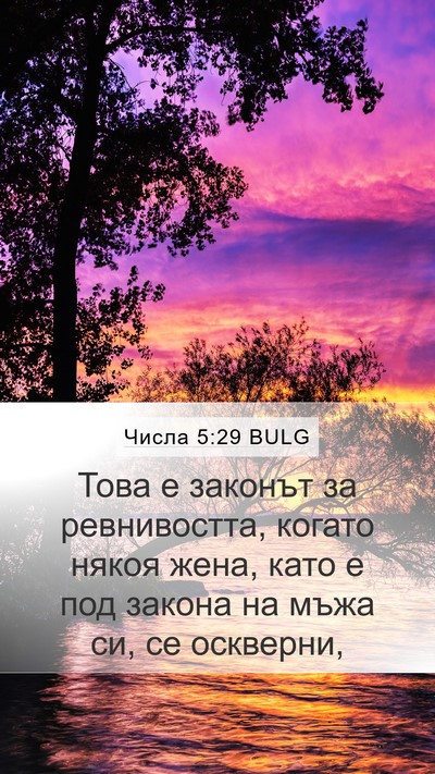 Числа 5:29 BULG Bible Verse Image