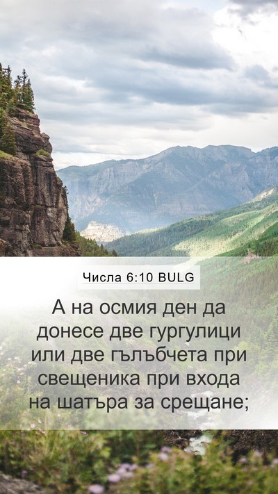 Числа 6:10 BULG Mobile Phone Wallpaper - А на осмия ден да донесе - Mobile Bible Verse Wallpaper