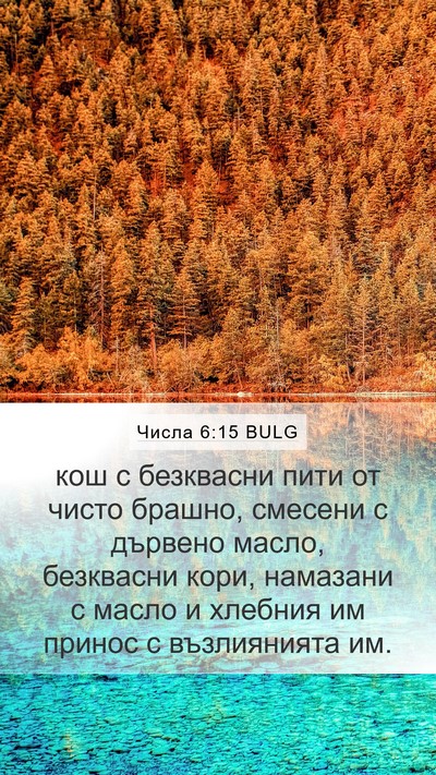 Числа 6:15 BULG Bible Verse Image