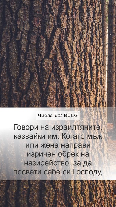 Числа 6:2 BULG Mobile Phone Wallpaper - Говори на израилтяните, - Mobile Bible Verse Wallpaper