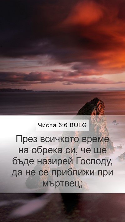 Числа 6:6 BULG Mobile Phone Wallpaper - През всичкото време на - Mobile Bible Verse Wallpaper