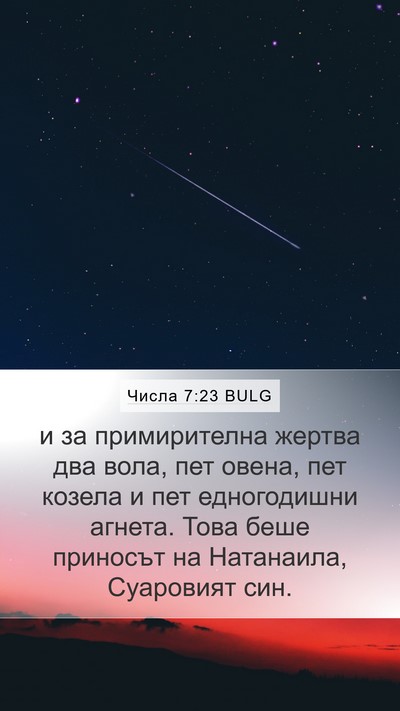 Числа 7:23 BULG Bible Verse Image