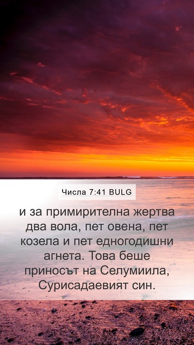 Числа 7:41 BULG Bible Verse Image