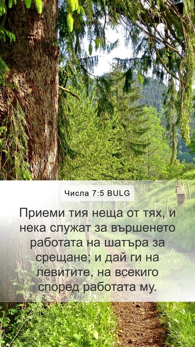 Числа 7:5 BULG Mobile Phone Wallpaper - Приеми тия неща от тях, и - Mobile Bible Verse Wallpaper