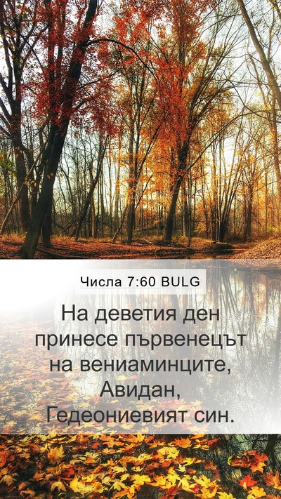 Числа 7:60 BULG Bible Verse Image