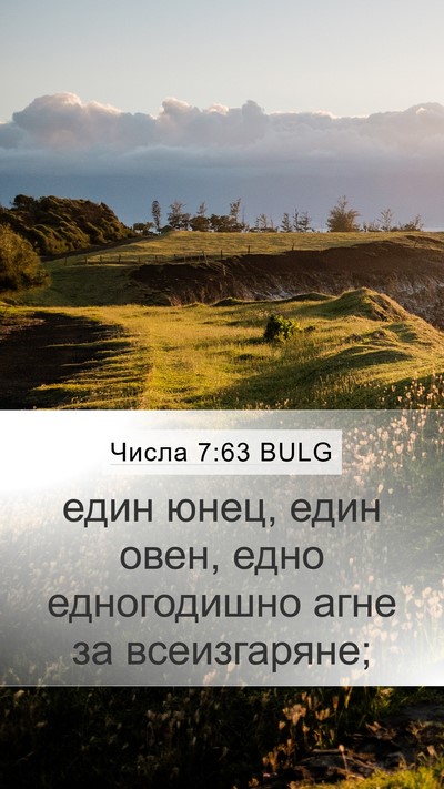 Числа 7:63 BULG Mobile Phone Wallpaper - един юнец, един овен, едно - Mobile Bible Verse Wallpaper